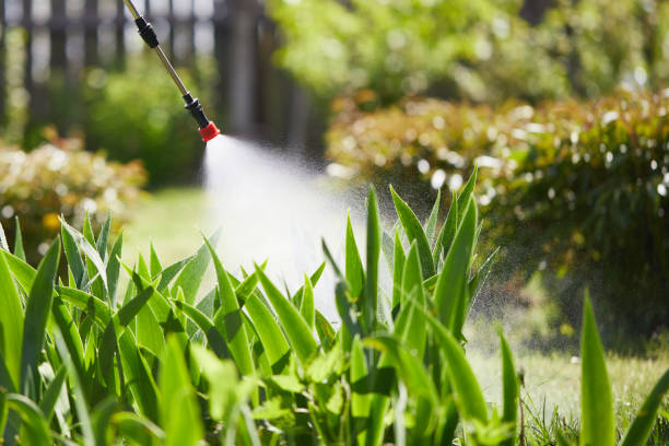 24/7 Emergency Mosquito Control experts in Chestnut Ridge, NY
