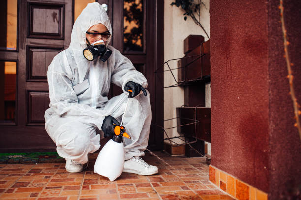 Reliable Mosquito Control contractor in Chestnut Ridge, NY by Show Me Pest Control