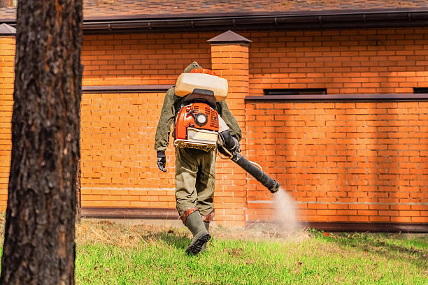 Top rated local Mosquito Control specialists in Chestnut Ridge, NY